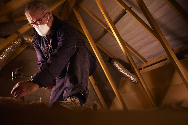 Best Residential Insulation in Paincourtville, LA
